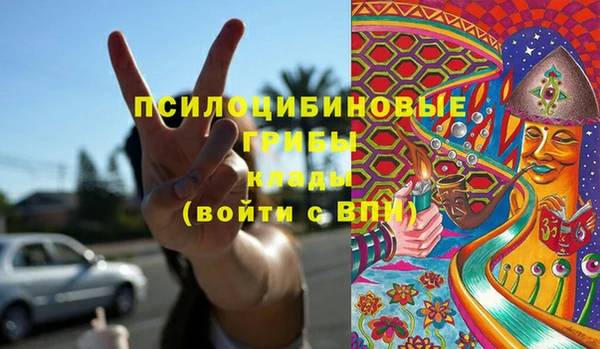 PSILOCYBIN Алексин