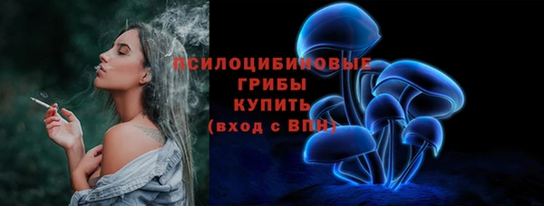 твердый Алзамай