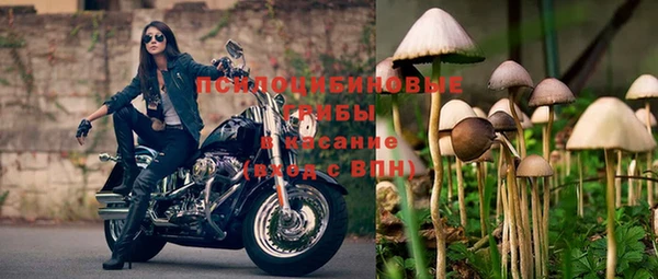 таблы Алексеевка