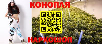 стаф Шахты