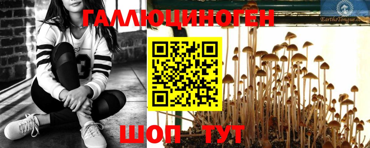 Галлюциногенные грибы мицелий Нарьян-Мар