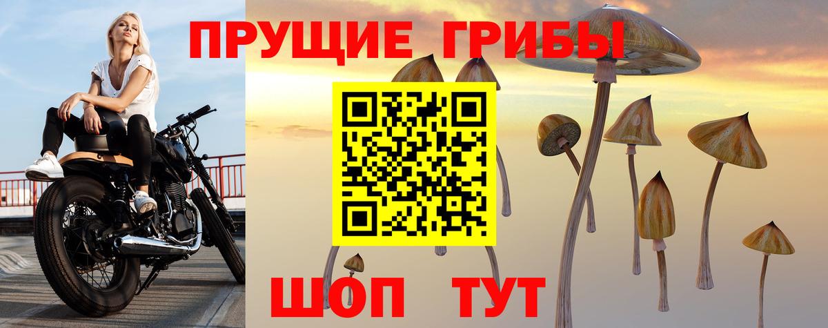Нарьян-Мар  наркотики  Вход с VPN  Галлюциногенные грибы мицелий 